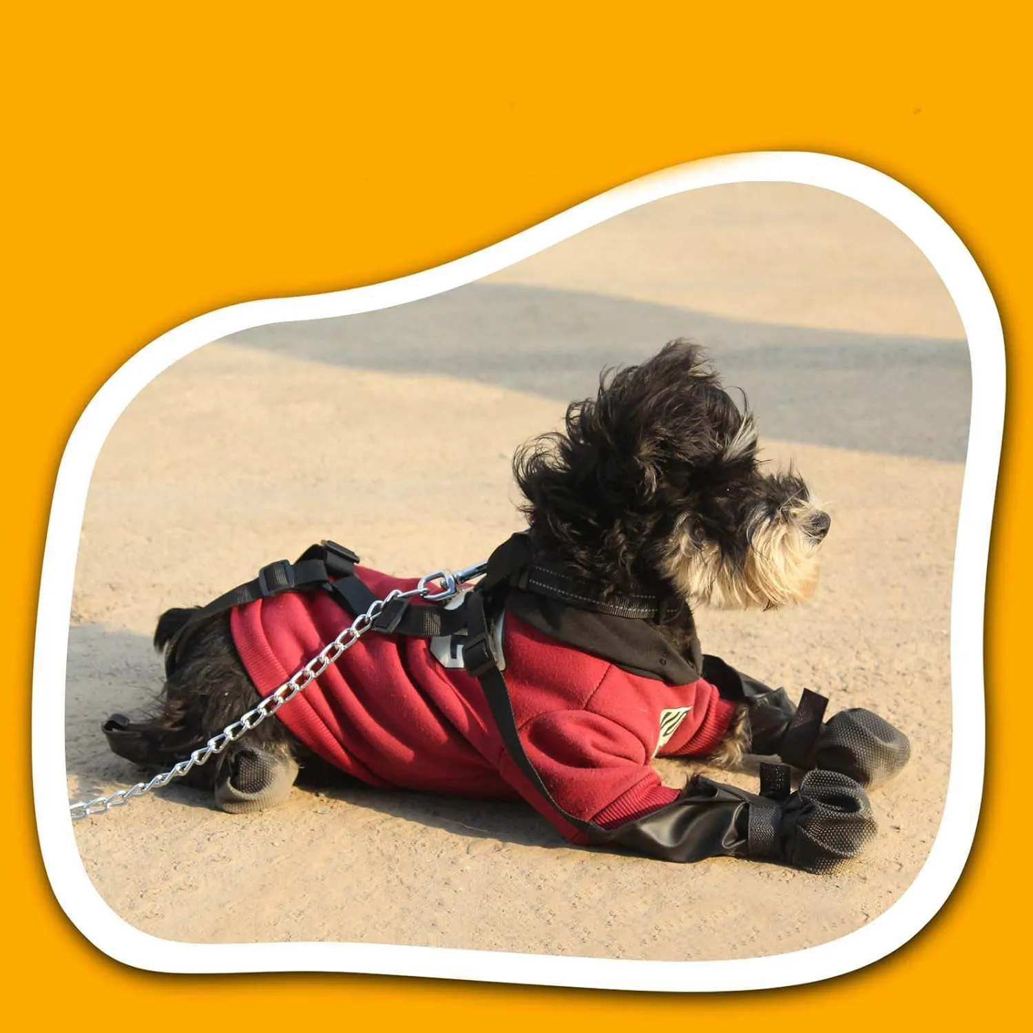 2024 New Suspender Boots for Dogs, Leggings Waterproof Dog Boots Anti-Slip Dog Shoes, Pet Protector for Small Medium Big Dogs Outdoor Walking Running Hiking Bootie (XS)