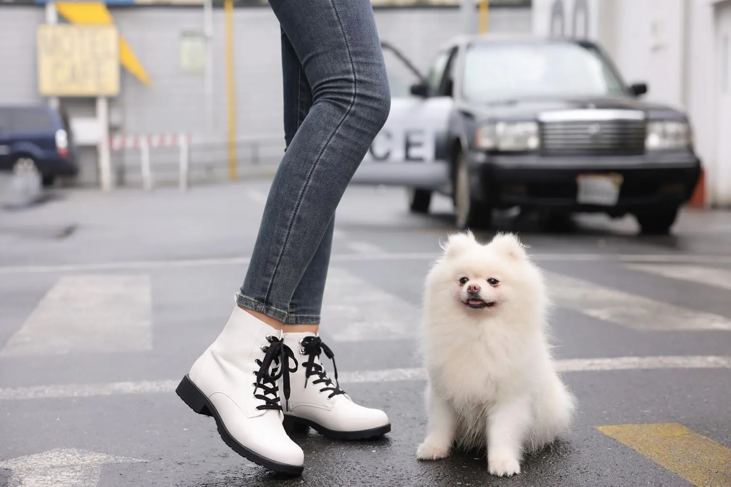 LISYIIZ Ankle Combat boots for Women Flat Lace up Booties with Zip Round Toe Soft Insole Warm Breathble Lining for Girls Ladies Fall Winter